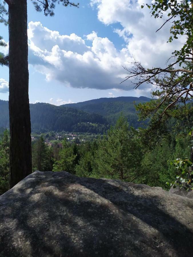 Смериковий Jaremtsje Buitenkant foto